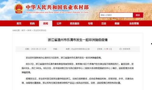 乐清网红事件最新爆料新闻